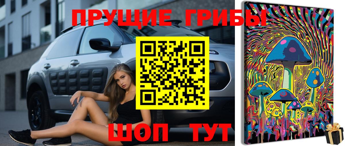 Псилоцибиновые грибы Magic Shrooms  Вход с VPN  Родники 